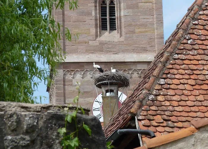 호텔 Alte Vogtei 볼프람스-에스첸바흐